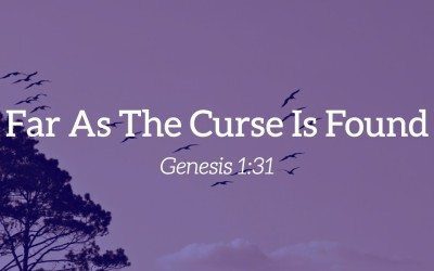 Far As The Curse Is Found