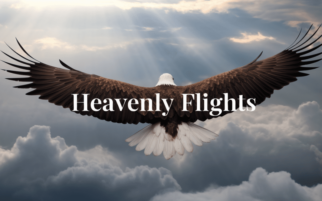 Heavenly Flights
