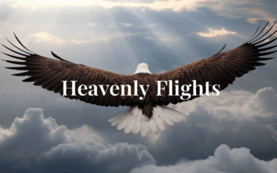Heavenly Flights