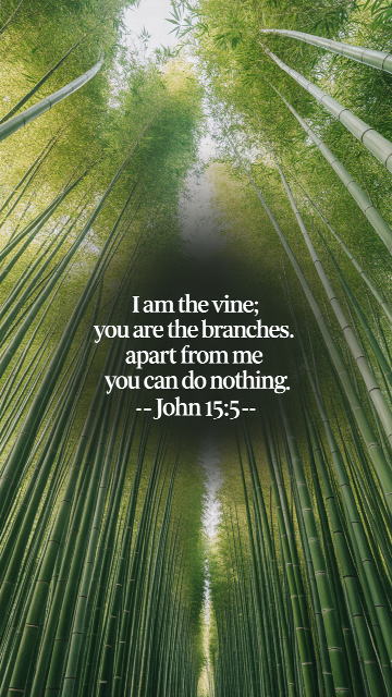 Apart From Me You Can Do Nothing John 15 5 Phone Wallpaper V1 - Free Christian Wallpaper