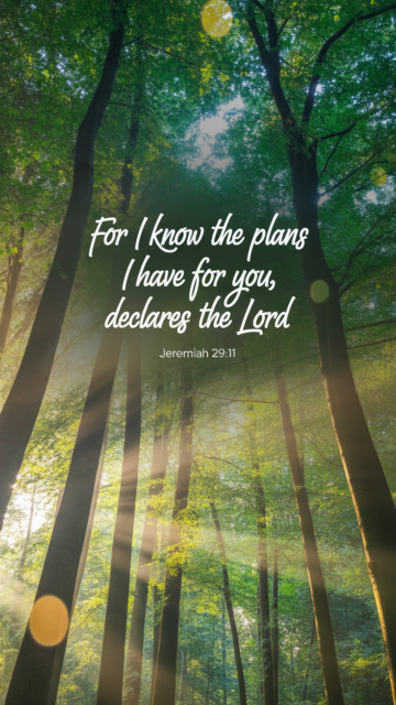 Jeremiah 29 11 Forest Phone Wallpaper V4 - Free Christian Wallpaper