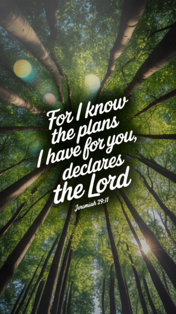 Jeremiah 29 11 Forest Scripture Phone Wallpaper V6 - Free Christian Wallpaper