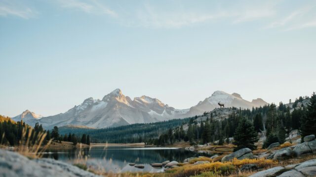 Christian Mountain Lake Deer Wildlife - Free Christian Wallpaper