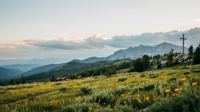 Cross Wildflower Hillside Mountain Christian - Free Christian Wallpaper