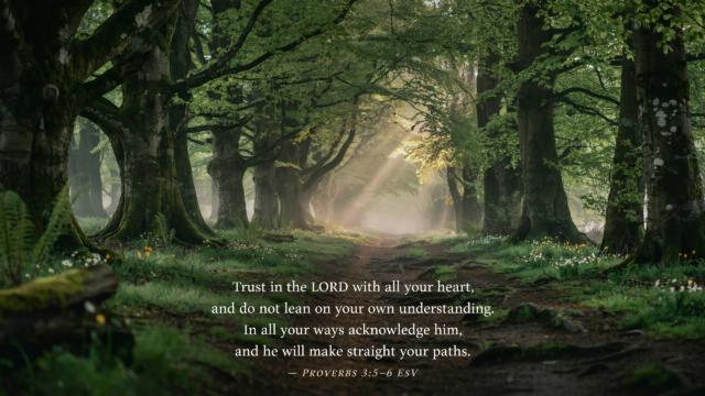 High Level Description A Misty Ancient F Christian - Free Christian Wallpaper